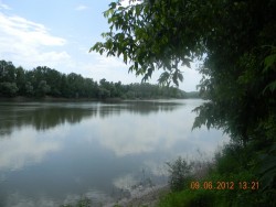 Jasenovac 1 pogled na Savu