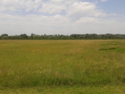 Jasenovac 10 topografija